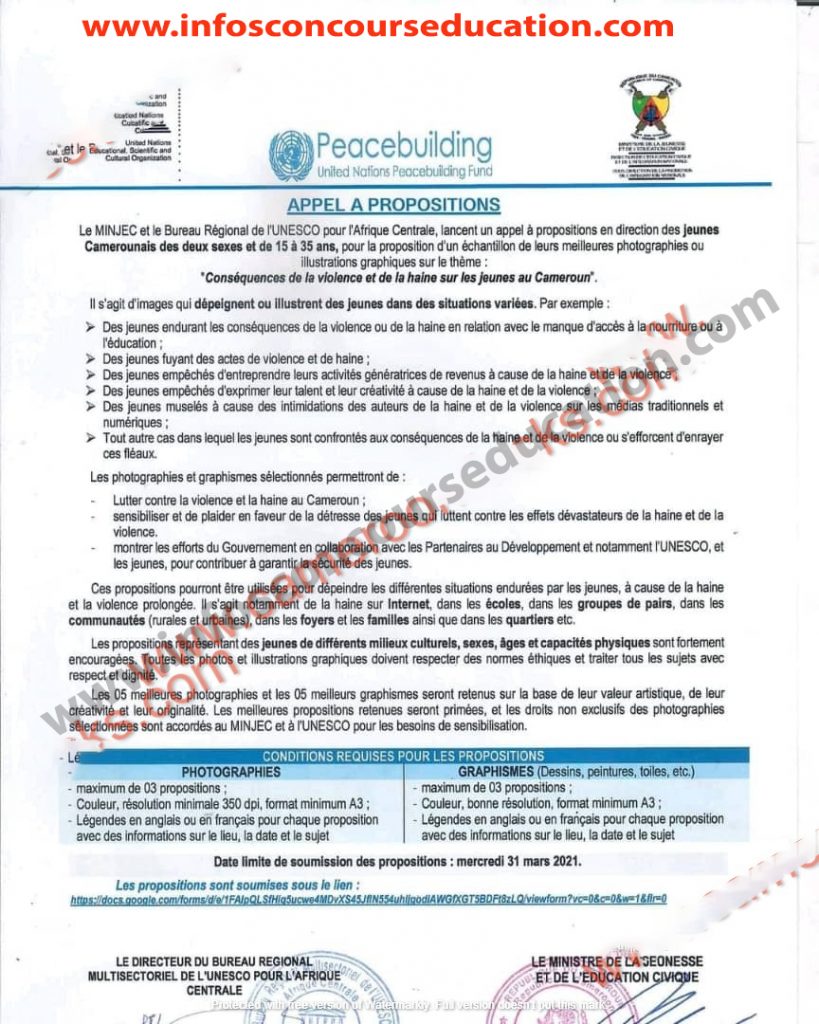Appel à propositions en direction des jeunes Camerounais pour la proposition d'un échantillon de leurs meilleures photographies ou illustrations graphiques