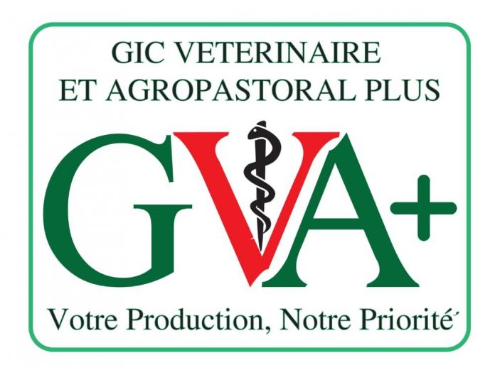 Gic vétérinaire et agro-pastoral plus OFFRE EMPLOI