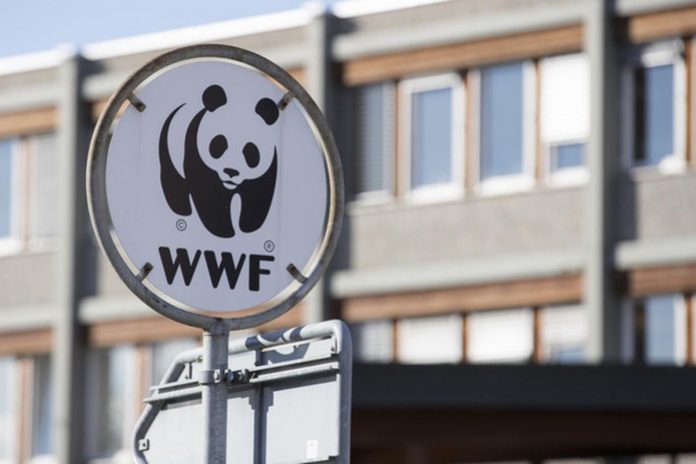 Offres de stage et de volontaire au sein de l'ONG WWF