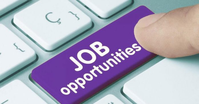 Job vacancy: Finance Support