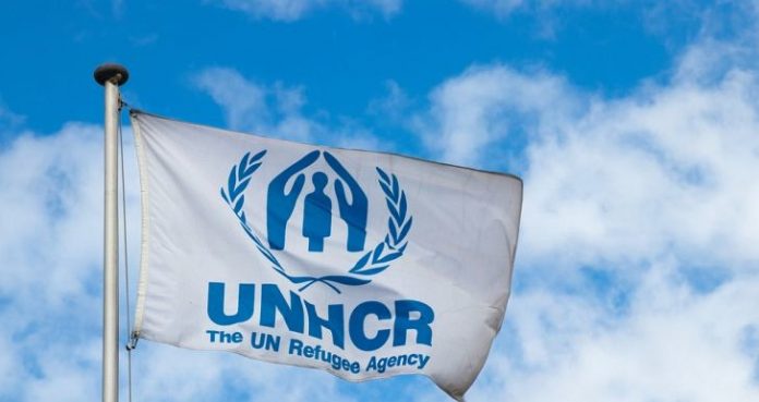 Job offer: Senior Protection Officer
