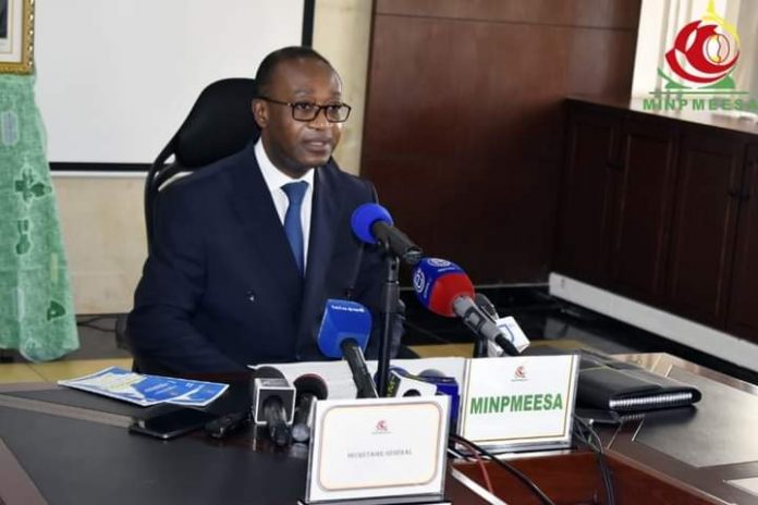 minpmeesa Offre de financement des projets ODD offertes aux PMEs camerounaises