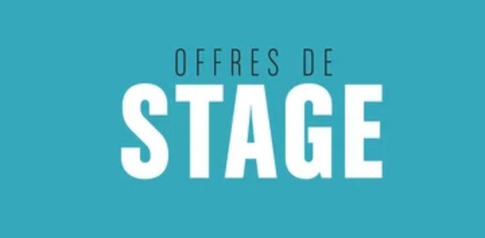 Offre de stage chez KING ARTHUR