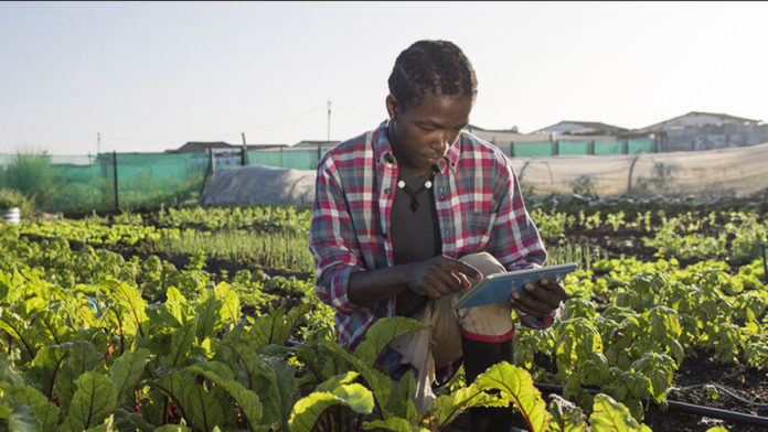agronom Avis de recrutement: Ingénieur agronome