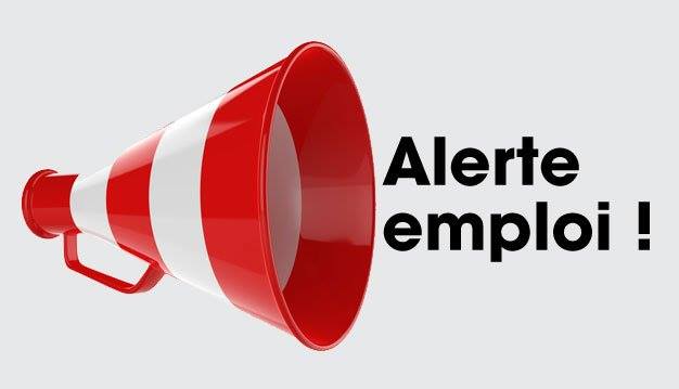 emploi cameroun Avis de recrutement: responsable des opérations