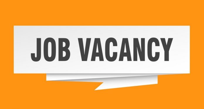 job vacancy Vacancy announcement: Assistant Manager