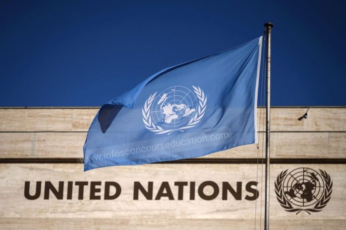 United Nations University paid internship 2022