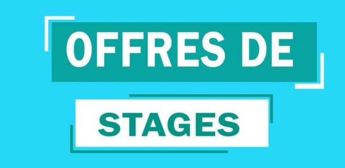 Offre de stage professionnel webmaster