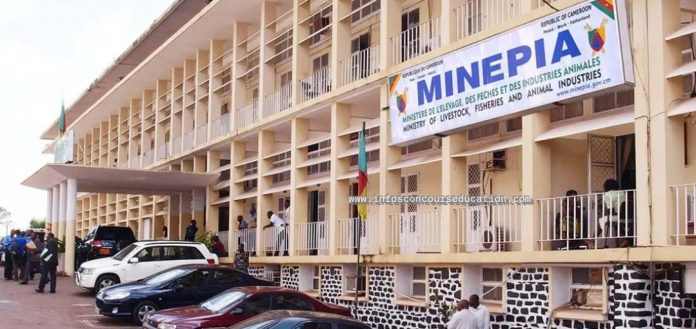 Concours CNFZV Maroua, Foumban et Jakiri 2022 cycle 1 et 2