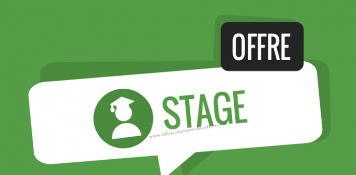 Offre de stage professionnel en marketing