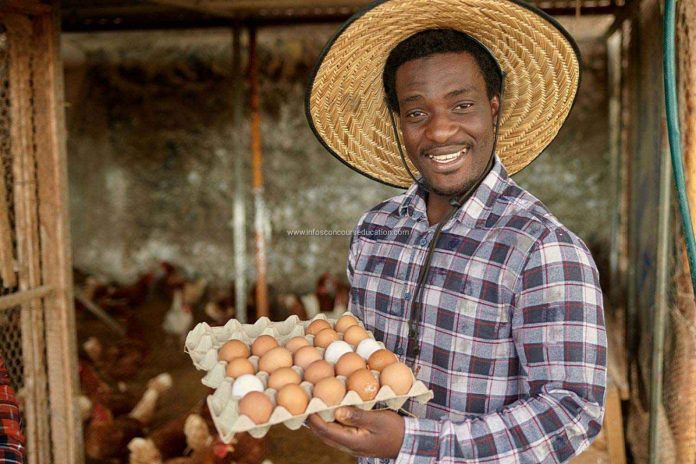 Offre d’emploi: fermier