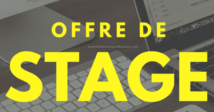 Offre de stage professionnel : Ingénieur Génie éclectique et Automatisme H/F