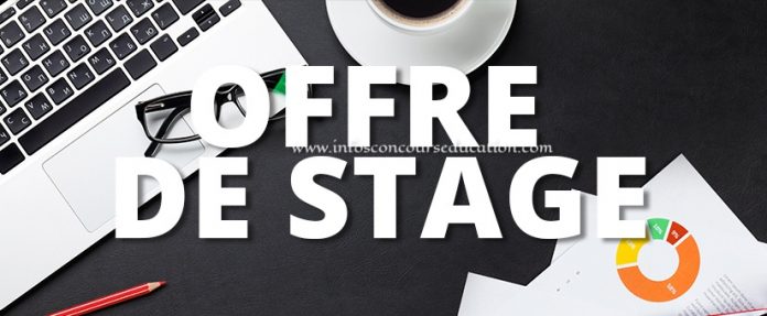 Offre de stage Rémunéré: 20 commerciaux