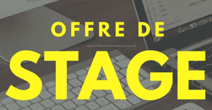 Offre de stage: Rédaction de contenus Web / Journalisme et Infographie