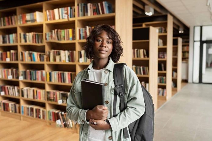 Fully-funded Nordic Africa Institute (NAI) African Scholar Program 2023