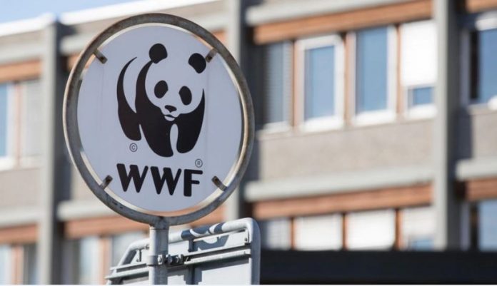 ONG WWF stage au cameroun