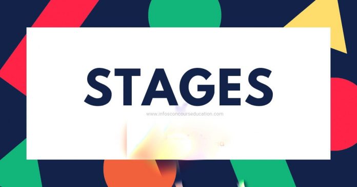 Offre de stage professionnel en Modélisation