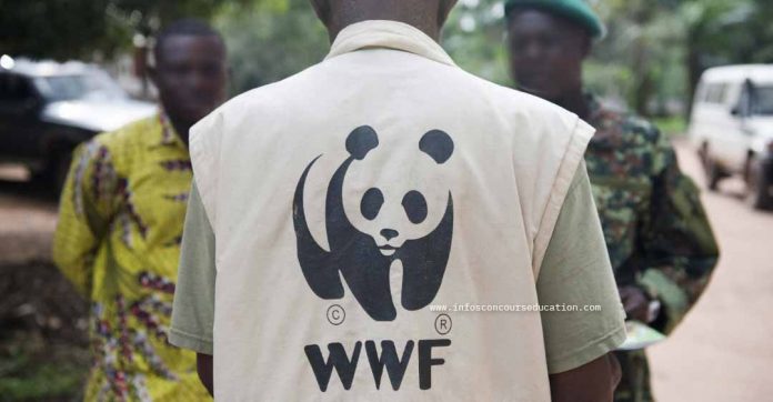 WWF cameroun recrutement