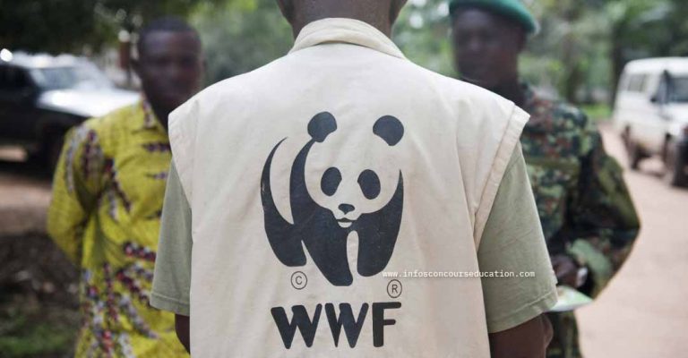 Recruitment at the World Wide Fund for Nature