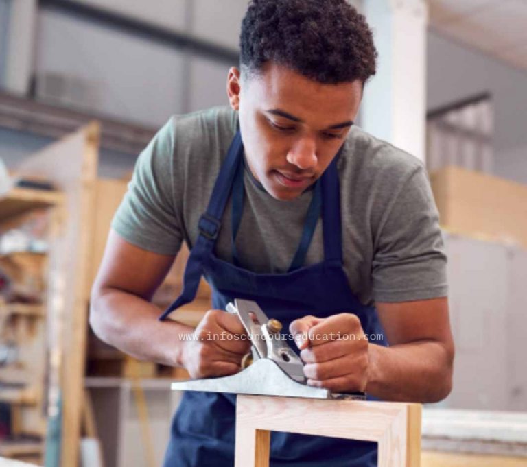 Offre d’Emploi : Menuisier (H/F) – Moyo Industry