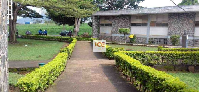Résultats Examen National Spécialisation en Médecine au Cameroun 2022