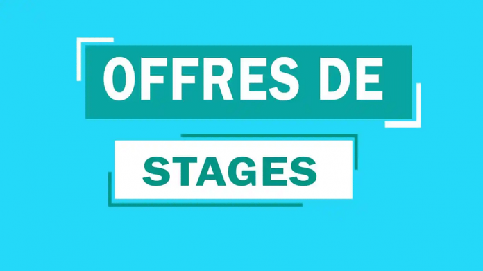 Offre de stages académiques aux jeunes