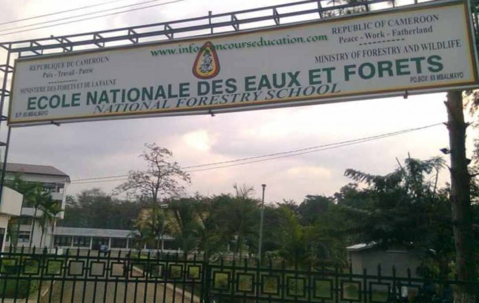 Appel à candidature: 66 Personnels d'appui au PN de Lobéké