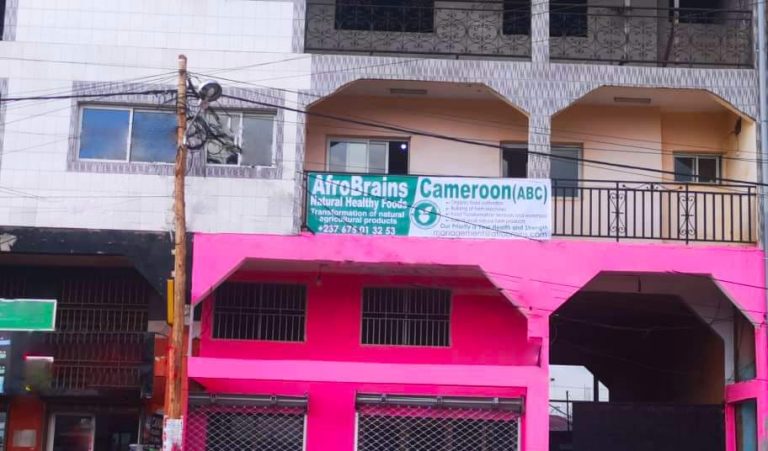 Recruitment notice: 13 vacancies