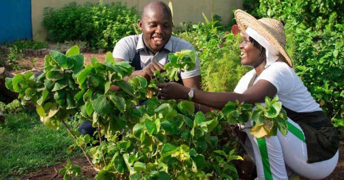 Recrutement de plusieurs Jardiniers