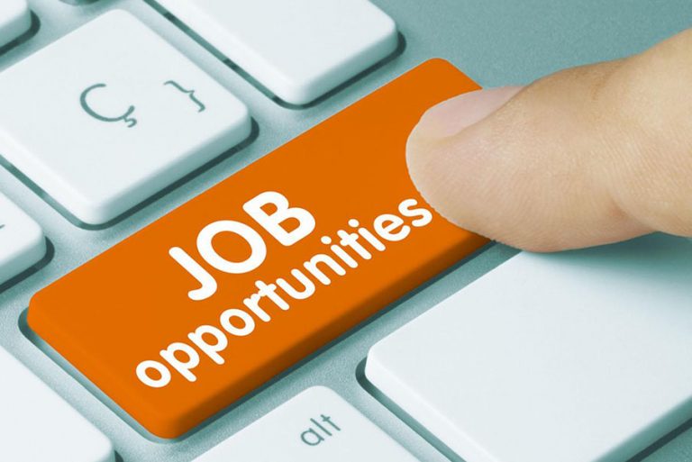 Job opportunity at STEM Professional Training Institute