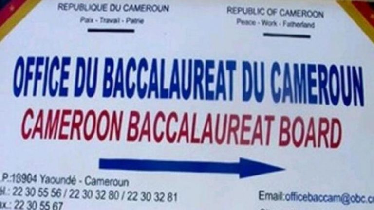 Diplômes du bac 2021 disponibles – OBC