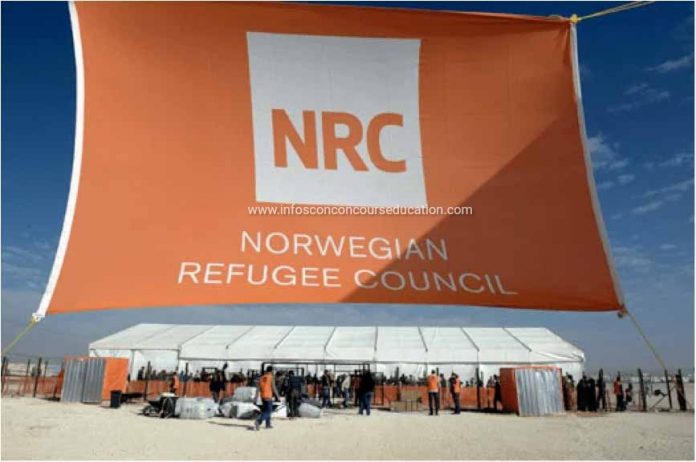 Recrutement ONG NRC