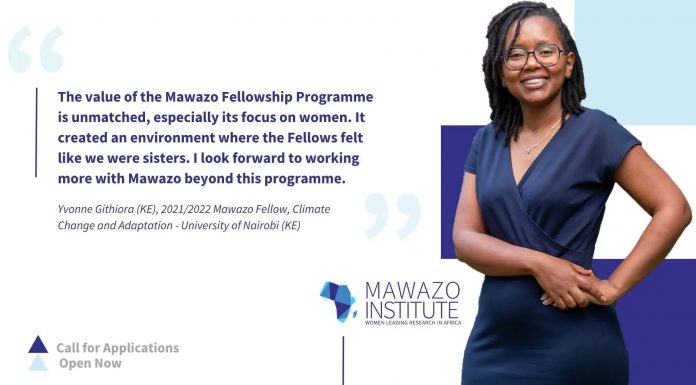 Mawazo Fellowship Programme