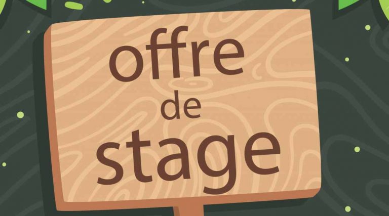 Offre de stage en Comptablité, Fiscalité, GRH