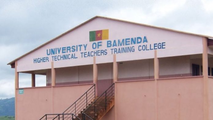 university of Bamenda jobs