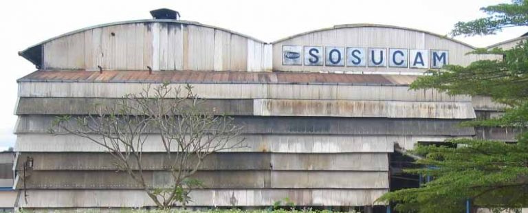Offre de mission proposée par Fondation SOSUCAM
