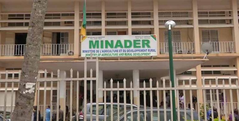 Résultats concours Minader 2025