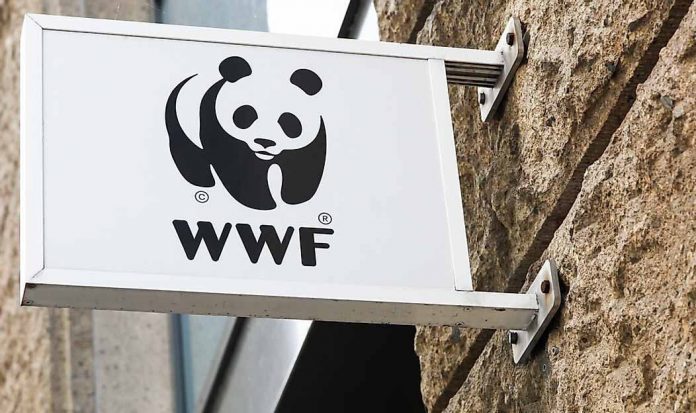 Offres d'emploi au Fonds Mondial pour la Nature (WWF)