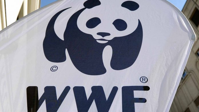 Offre demploi: WWF: Stagiaire Suivi Faune et SMART
