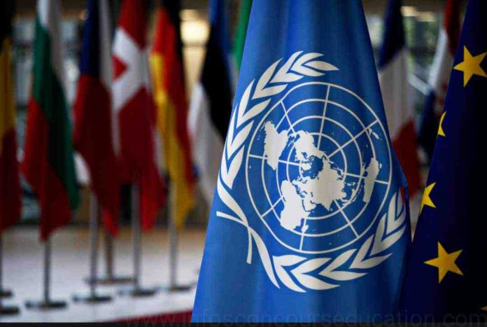 Recrutement des Stagiaires à L'Organisation des Nations unies