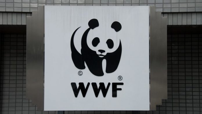 Emploi WWF: Volontariat / Stage Académique / Stage Professionnel