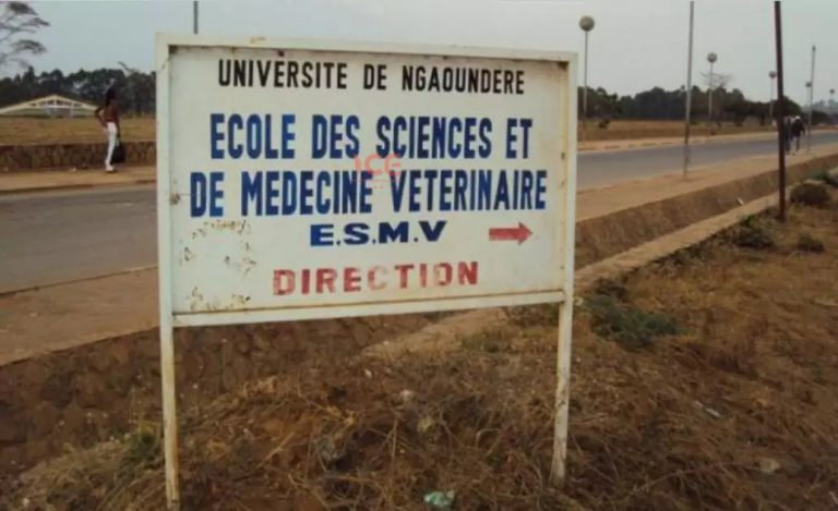 Arrêté concours ESMV de ngaoundéré 2023