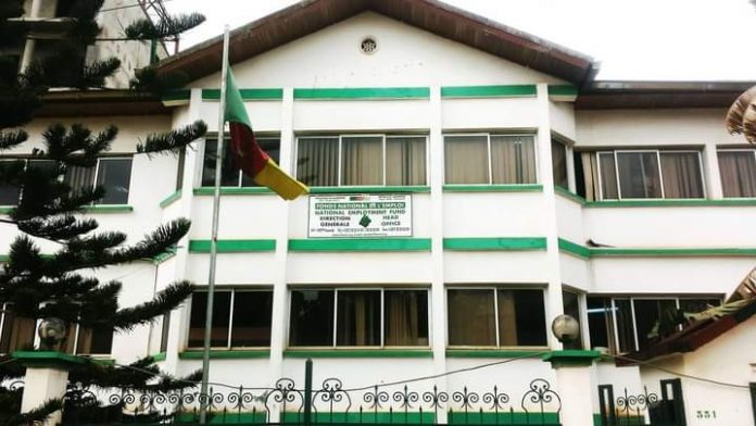 Recrutement au FNE Cameroun: 10 postes vacants
