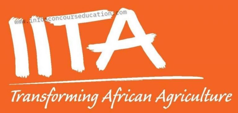 Job Offer: Regional Internal Auditor – IITA Cameroon