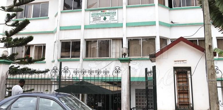 Recrutement au FNE Cameroun: + 55 Postes Vcants