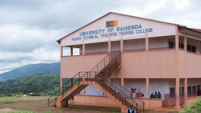 Résultats Enset de Bamenda auditeurs libres 2023