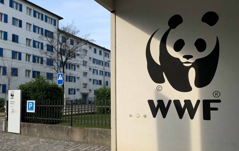 Recruitment at the World Wide Fund for Nature