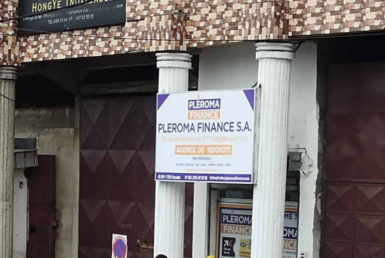 Offre d’emploi plusieurs profils – Pleroma Finance