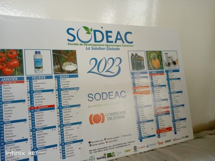 Recrutement chez SODEAC Cameroun