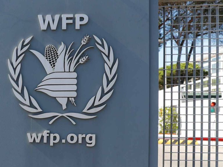 Recruitment at World Food Program: many positions
